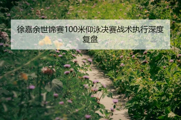 徐嘉余世锦赛100米仰泳决赛战术执行深度复盘
