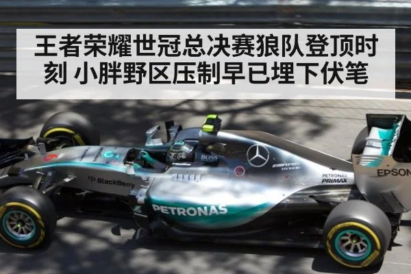 王者荣耀世冠总决赛狼队登顶时刻 小胖野区压制早已埋下伏笔